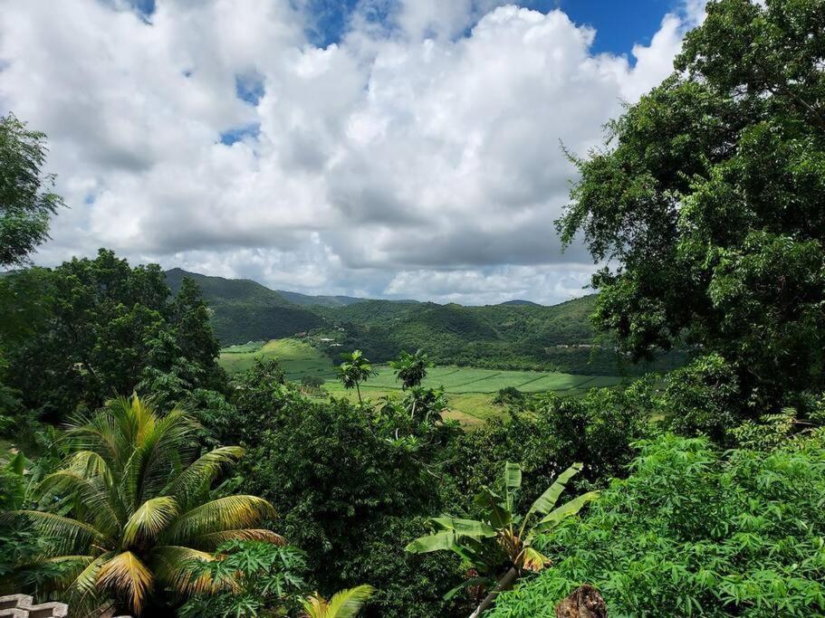 Appartement T2 Le Vallon Au Marin Martinique Le Marin Esterno foto